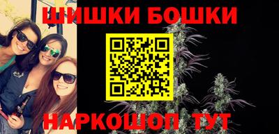 МДПВ Новозыбков